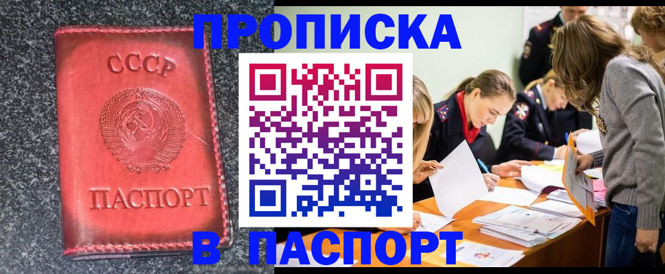 прописка для школы в Чистополье